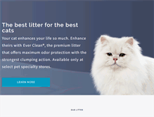 Tablet Screenshot of everclean.com